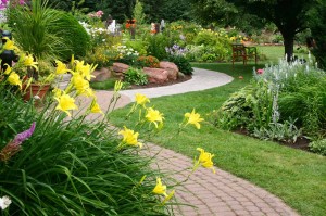 Landscape and Hardscape Design